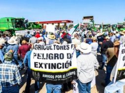 Edgar Ortiz De Santiago, presidente del grupo Amigos por el Campo, advirtió que la situación en el sector maicero se ha vuelto insostenible y que los productores enfrentan un panorama cada vez más complicado ante la falta de comercialización del grano. EL INFORMADOR / ARCHIVO