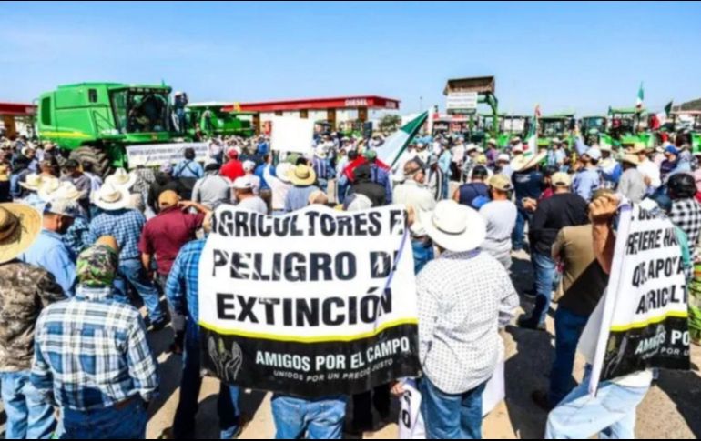 Edgar Ortiz De Santiago, presidente del grupo Amigos por el Campo, advirtió que la situación en el sector maicero se ha vuelto insostenible y que los productores enfrentan un panorama cada vez más complicado ante la falta de comercialización del grano. EL INFORMADOR / ARCHIVO