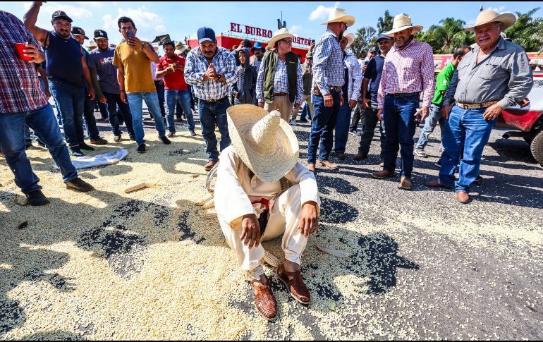 México consume más de 47 mil toneladas de maíz anualmente de las cuales se importan alrededor de 25 mil. EL INFORMADOR/ARCHIVO