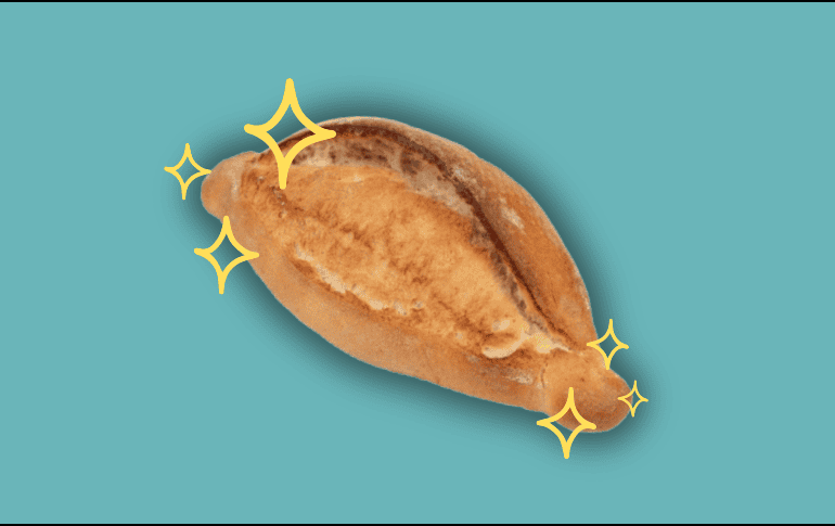 El bolillo es un alimento casi sagrado en la tradición mexicana. EL INFORMADOR/ARCHIVO