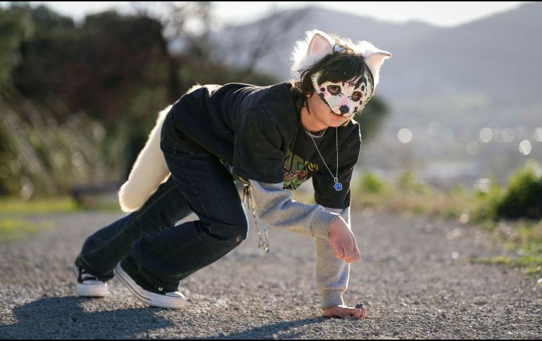 Fin -nombre ficticio-, un joven de 17 años de Sant Feliu de Llobregat (Barcelona), que se identifica con un lobo gris albino, hace nueve años que forma parte de la comunidad 