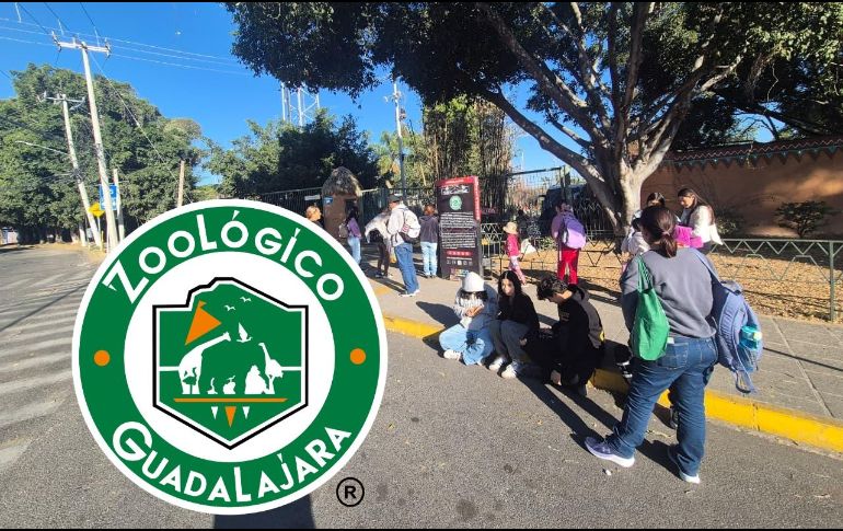 Más de mil personas se quedaron varados al interior del Zoológico de Guadalajara luego de los hechos de violencia registrados ayer en el Área Metropolitana de Guadalajara y Jalisco.
EL INFORMADOR / O. González