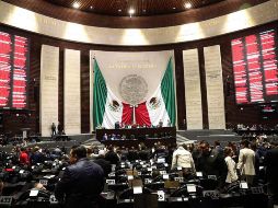 El dictamen se aprobó sin modificaciones y contempla una implementación paulatina hasta 2030. EFE/ Madla Hartz