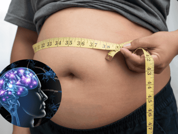 La grasa persistente no siempre es resultado de falta de disciplina. Factores como la genética, la resistencia a la insulina o alteraciones hormonales también influyen.  CANVA