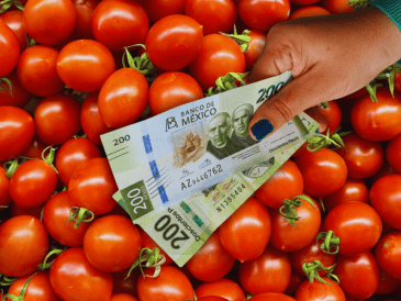 Buena parte del aumento en verduras se debió al precio del jitomate, que suele caer en los dos primeros meses del año, pero en esta ocasión no fue así. ESPECIAL / CANVA