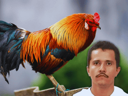 Aunado a ello, existe una canción llamada: 