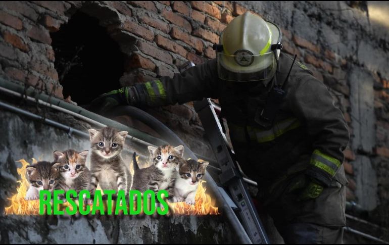 Una vez controlado el fuego, se procedió a comenzar con las labores de enfriamiento para evitar reactivaciones. ESPECIAL / Facebook Protección Civil Jalisco