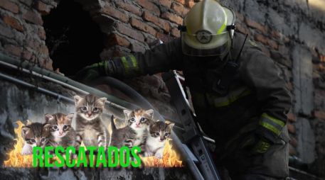 Una vez controlado el fuego, se procedió a comenzar con las labores de enfriamiento para evitar reactivaciones. ESPECIAL / Facebook Protección Civil Jalisco