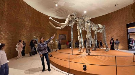 La directora del Museo del Mamut recordó que este fue inaugurado en 2018 como parte de las obras por la construcción del AIFA. SUN/A. Contreras