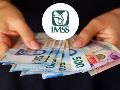 El llamado “pago doble” no corresponde a un aumento permanente en el monto de la pensión del IMSS. ESPECIAL