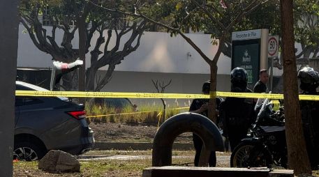 Autoridades declararon que se cuenta con las características de los causantes; se implementó dispositivo de búsqueda para su localización.ESPECIAL / EL INFORMADOR