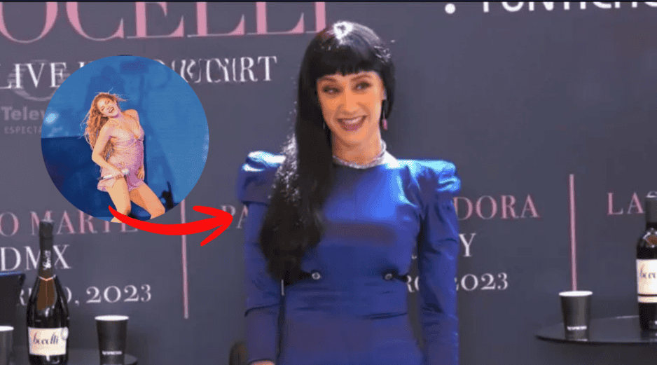 Zabaleta aclaró que su señalamiento no estaba dirigido a la artista colombiana. FACEBOOK/Susana Zabaleta