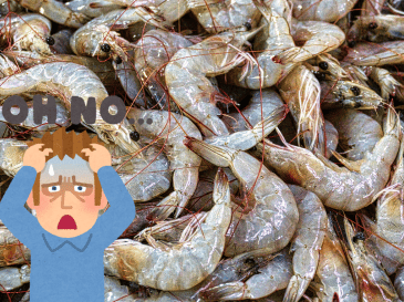 Los camarones pequeños suelen tener una vena casi imperceptible, por lo que muchas veces se dejan tal cual. CANVA