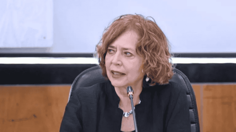 La Dra. Ruiz Gutiérrez ha realizado investigaciones en biología evolutiva y ha sido una ferviente promotora de la educación científica en México. ESPECIAL / FACERBOOK / SECRETARÍA DE CIENCIA&nbsp;