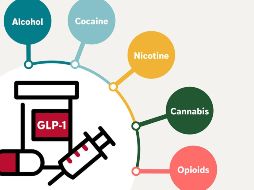 Los GLP-1 actúan sobre los circuitos de recompensa del cerebro. EFE/WashU Medicine