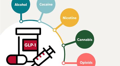 Los GLP-1 actúan sobre los circuitos de recompensa del cerebro. EFE/WashU Medicine