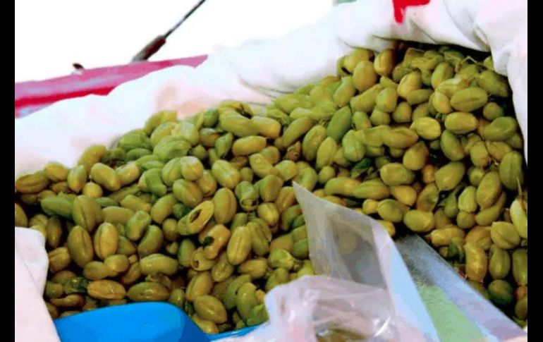 Más que un simple snack callejero, las guasanas forman parte del llamado “diccionario tapatío”. ESPECIAL/ Larousse Cocina