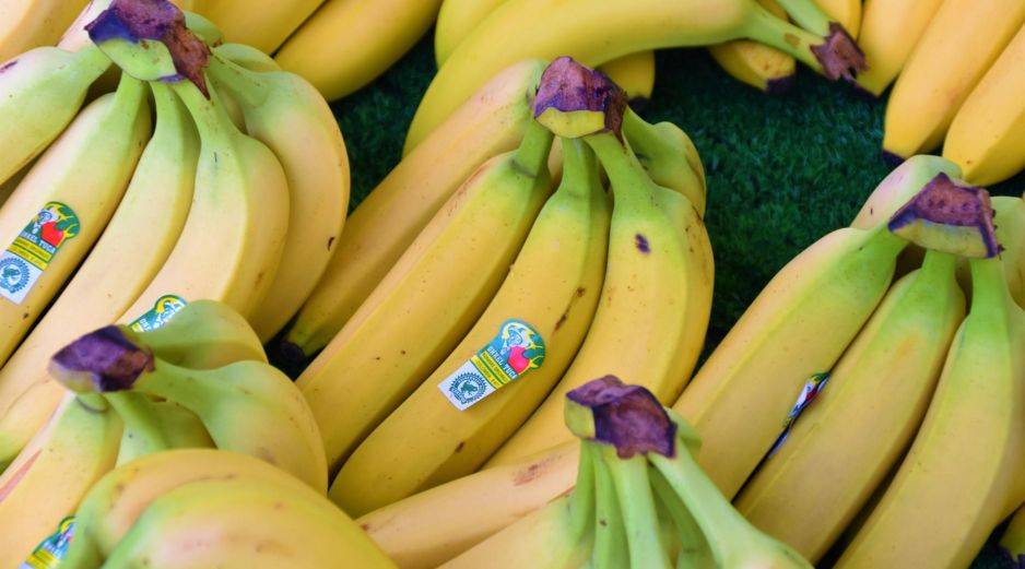 Las variedades de plátanos poseen diferentes características. UNSPLASH / W. BRANDT