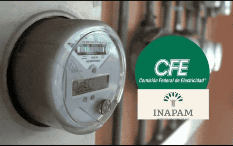 Entre las ventajas que otorga este documento se encuentran descuentos en áreas como salud, alimentación, transporte, servicios legales, educación, cultura, pago de predial y agua, así como en rubros de vestido y hogar. ESPECIAL/ EL INFORMADOR/ ARCHIVO