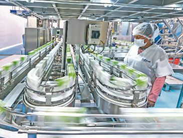 Trabajadora participa en una línea de producción industrial. Empresarios prevén mejora gradual del mercado laboral durante el año. ESPECIAL