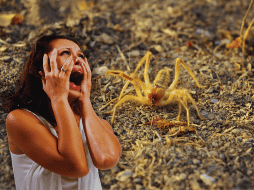 Por su aspecto, la gente confunde a las 