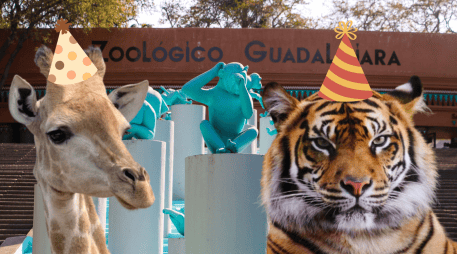 Si planeas aprovechar esta increíble promoción, te recordamos que el Zoológico Guadalajara se encuentra muy cerca de la Barranca de Huentitán. ESPECIAL/ EL INFORMADOR/ ARCHIVO/ Unsplash