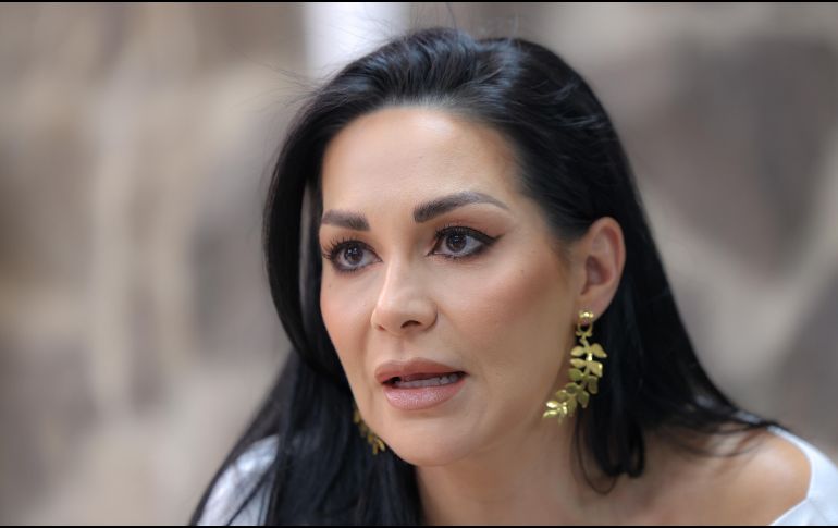 Gómez Pozos sostuvo que uno de los principales puntos de la reforma es la reducción de las prerrogativas que reciben los partidos políticos. EL INFORMADOR/ A. Navarro