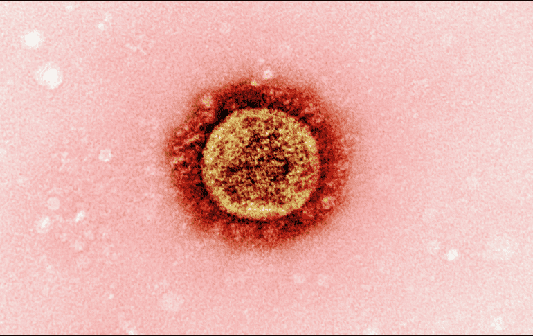 El Herpes Zóster es un sarpullido que aparece en forma de pequeñas ampollas en la piel. UNSPLASH /