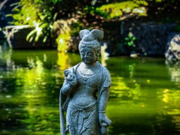 Ubicado en el bosque Los Colomos en Guadalajara, este lugar es uno de los paisajes más bellos de la ciudad. EL INFORMADOR / ARCHIVO