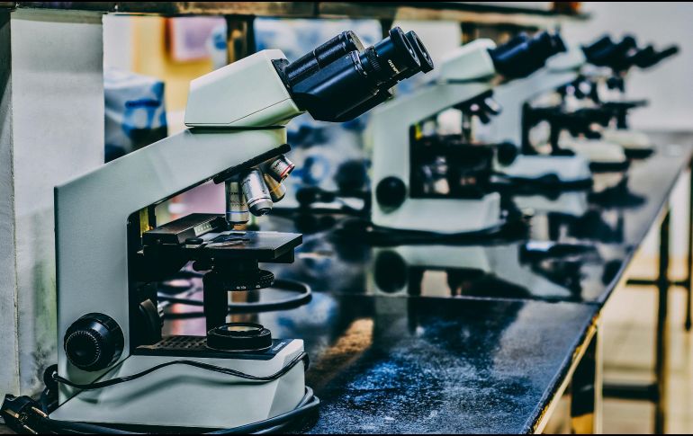 ¿Cuáles son los riesgos de los químicos de la vida diaria hacia nuestras hormonas? UNSPLASH / O. CHEA