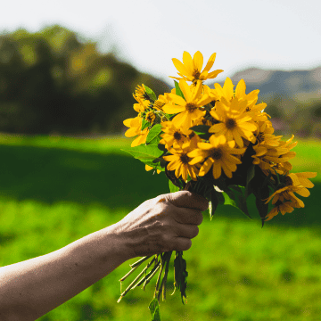 Aunque actualmente la tradición circula ampliamente en plataformas digitales como TikTok e Instagram, su origen moderno se asocia con la telenovela juvenil argentina Floricienta, estrenada en 2004. CANVA