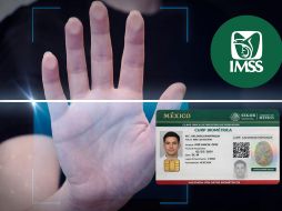 El Gobierno de México implementó la CURP biométrica con el objetivo de reforzar la seguridad en la identificación de los ciudadanos. PEXELS/ESPECIAL