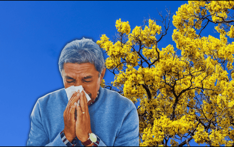 Los síntomas característicos de alergia (tos, falta de aire, estornudos y opresión en el pecho) suelen confundirse con infecciones virales o bacterianas. EL INFORMADOR / A. Navarro / ESPECIAL / CANVA