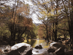 Jalisco esconde muchas joyas y esta es una de ellas; las mejores temporadas para visitarlo son de noviembre a mayo, y suele haber más afluencia de visitantes durante el periodo vacacional. Facebook/Cultura Cuquío Jalisco