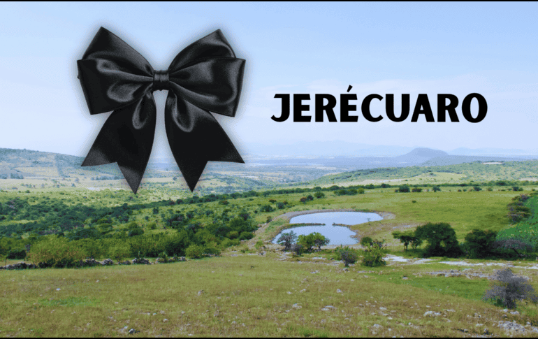 La gobernadora Libia Dennise García Muñoz Ledo expresó su solidaridad con Acevedo Mercado, con su familia y con las de las víctimas.  FACEBOOK / Gobierno Municipal de Jerécuaro, Gto.