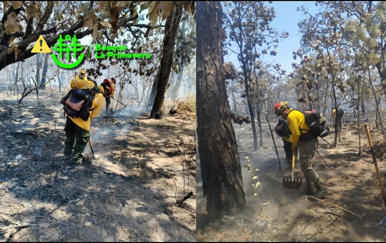 Semadet recomienda a la población mantenerse informada a través de los canales oficiales y se recuerda que está prohibido el uso del fuego en el Bosque La Primavera. ESPECIAL