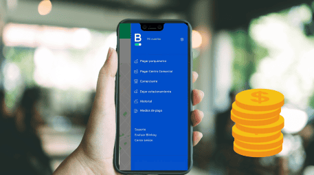 Esta opción resulta útil para familias o personas que utilizan más de un vehículo, ya que todos pueden gestionarse desde la misma cuenta dentro de la plataforma. CANVA / Blinkay