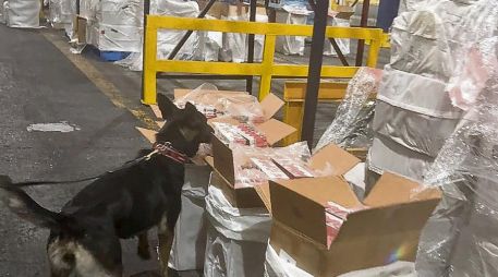 Cargamento de cigarrillos de procedencia ilícita asegurado por elementos de la Semar. EL UNIVERSAL