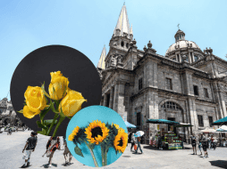 La costumbre surgió a partir de la canción Flores Amarillas, interpretada en la telenovela argentina “Floricienta”. ESPECIAL/ EL INFORMADOR/ ARCHIVO/ Unsplash