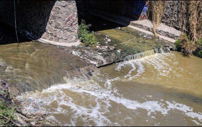 Así lucen cuatro puntos de descarga de aguas residuales documentados en los municipios de Tlajomulco de Zúñiga y Tlaquepaque. EL INFORMADOR / A. Navarro
