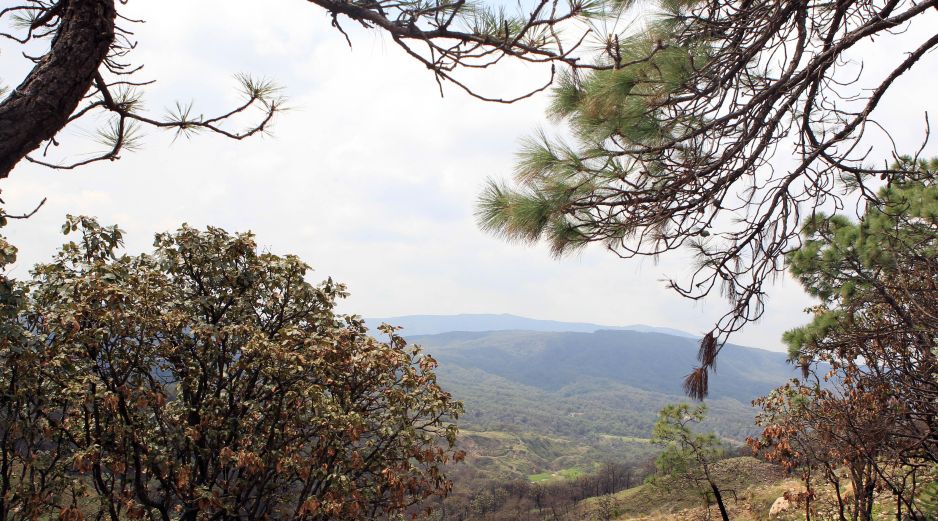 Este espacio fue decretado como Área Natural Protegida de carácter federal el 6 de marzo de 1980. EL INFORMADOR / ARCHIVO