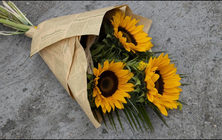 Cada 21 de marzo, miles de personas se suman a la tendencia de regalar flores amarillas. PEXELS