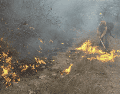El incendió comenzó alrededor de las 13:00 horas; no se reportan personas lesionadas tras los hechos. PROTECCIÓN CIVIL Y BOMBEROS DE JALISCO