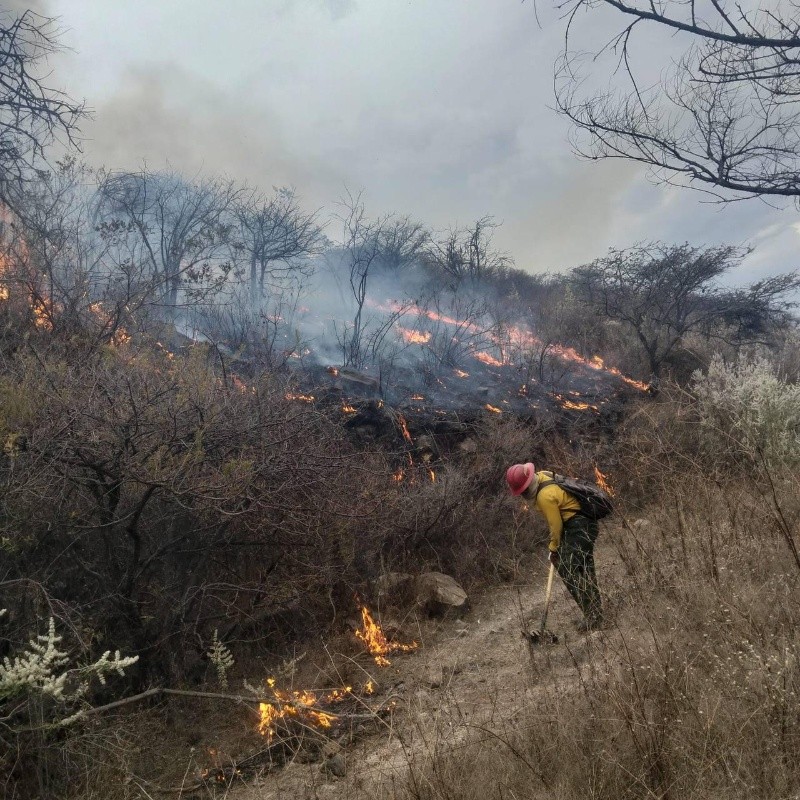 &nbsp;PROTECCIÓN CIVIL Y BOMBEROS DE JALISCO