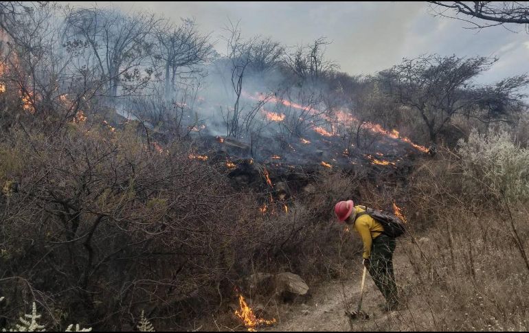 La Semadet activó una alerta atmosférica a causa del incendio forestal. CORTESÍA/ Protección Civil