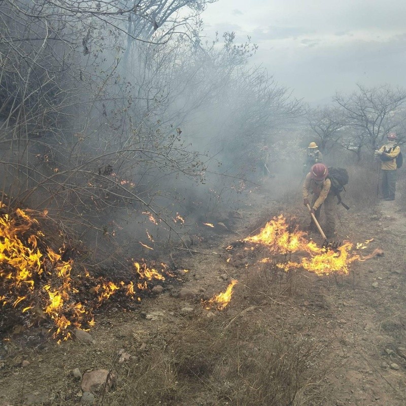 &nbsp;ESPECIAL / PROTECCIÓN CIVIL Y BOMBEROS DEL ESTADO