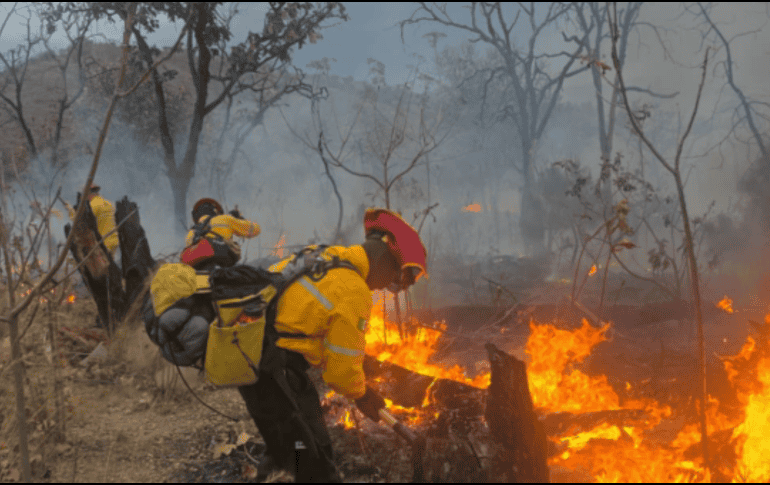 El incendio en el Bosque La Primavera se registró el pasado domingo 22 de marzo. X / @PCJalisco