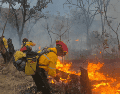 El incendio en el Bosque La Primavera se registró el pasado domingo 22 de marzo. X / @PCJalisco