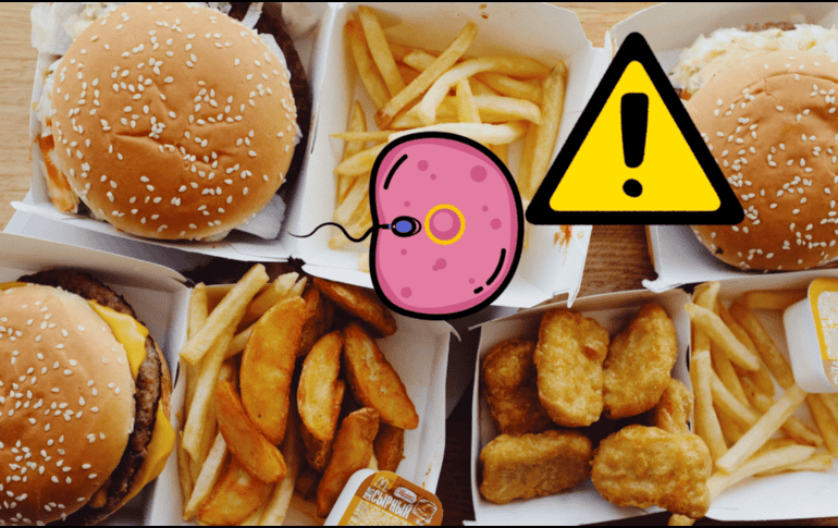 Los especialistas sugieren que hay que pensar de manera más amplia sobre la fertilidad y el embarazo y prestar más atención a la salud masculina en este periodo. CANVA