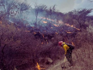 El titular del OPD Bosque La Primavera, Gabriel Vázquez Sánchez, dio información sobre los incendios y las invasiones en la localidad. ESPECIAL / Protección Civil y Bomberos